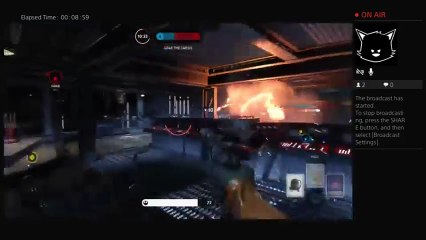 Wut in tarnation (22)