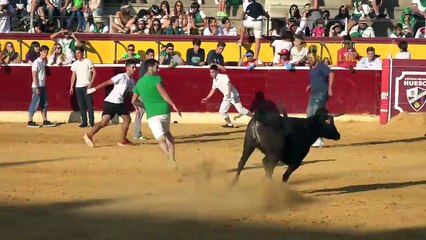 Momentos hilariantes com touradas