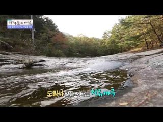박종인의 땅의 역사, 곡성 도림사! [광화문의 아침] 359회 20161116