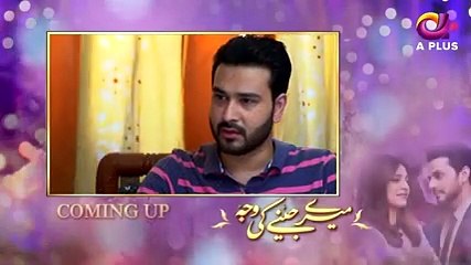 Meray Jeenay Ki Wajah - Episode 46