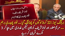 Maryam Safdar & Nawaz Sharif Were Saved in Dawn Leaks Case Like Panama