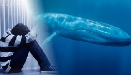 9 Mentiras e 1 Verdade sobre o desafio da BALEIA AZUL!