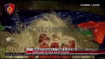 Sekuestrohen tonelata me drogë - News, Lajme - Vizion Plus