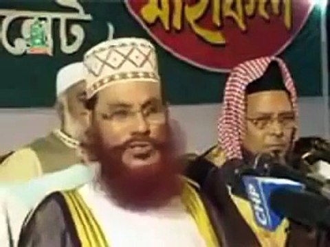 ডাঃ জাকির নায়েক সম্পর্কে আল্লামা সাঈদী বলেন -