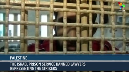Palestinian Prisoners Joined Hunger Strike in Protest