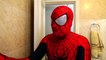 Spiderman Bath Time with Frozen Elsa, Hulk, Joker & Pink Spidergirl - Superheroes Movie In Real Life-rkMKU