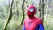 New Spiderman Bath Time - In Real Life _ Tropical Island Adventure _ Superhero Movie-PJ