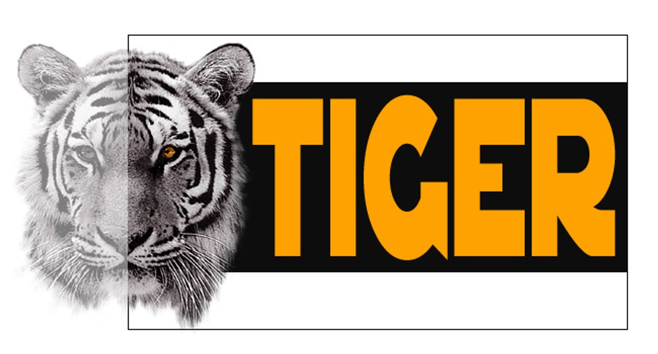the greatest tiger in the ring on wwe: roman reigns