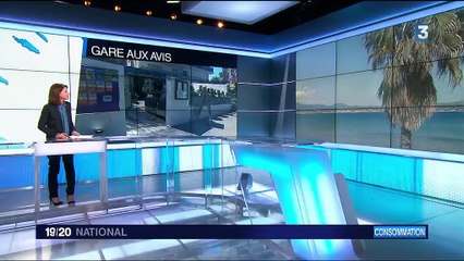 Consommation : peut-on faire confiance aux avis sur internet ?