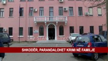 SHKODËR, PARANDALOHET KRIMI NË FAMILJE