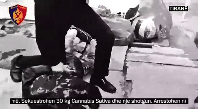 Pesë shtetas kapen me 30 kg kanabis, furnizonin 3 zona në Tiranë