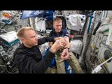 NASA launches study to improve health of astronauts in space