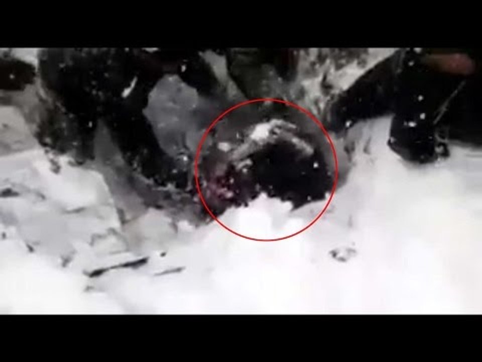 Siachen Avalanche : Soldier found alive after 6 days, watch video