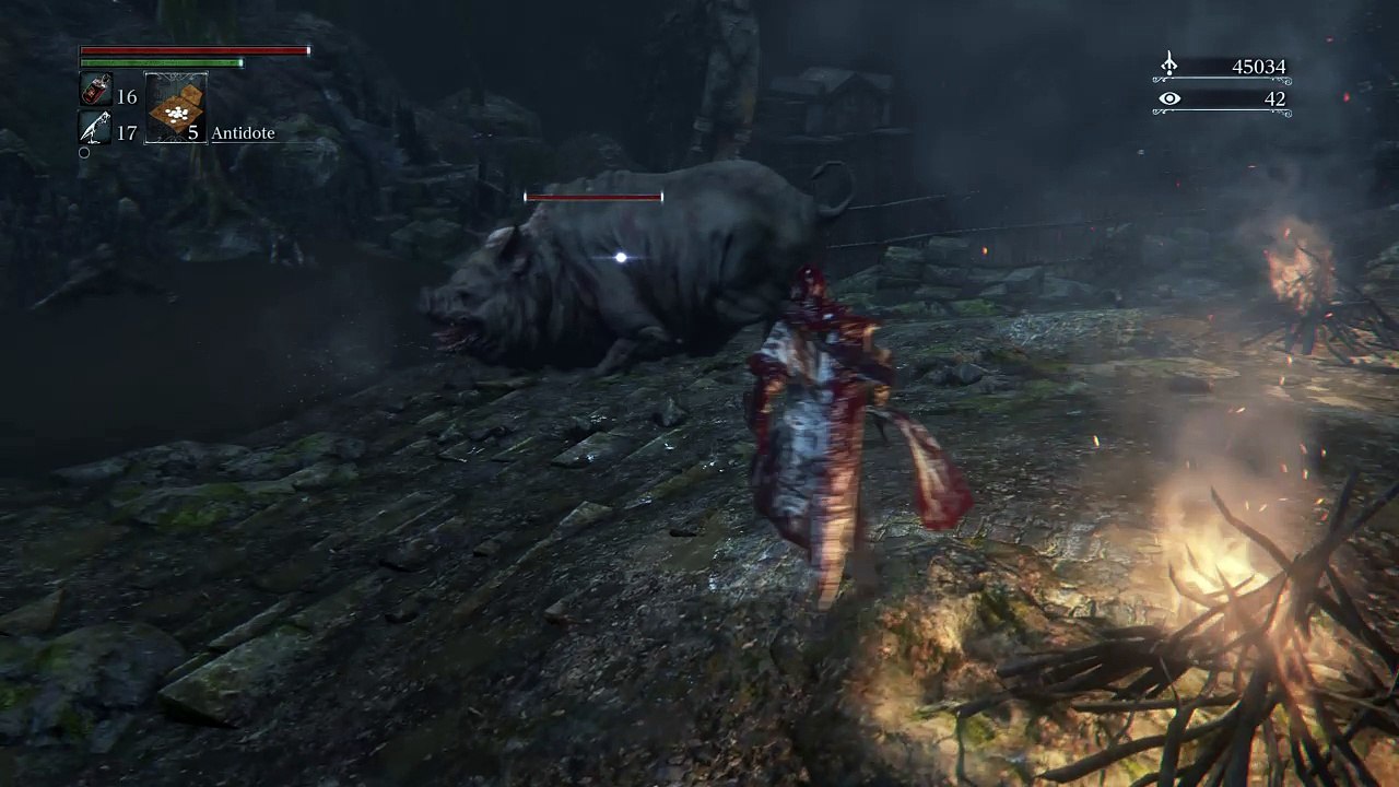 Bloodborne™_What the fuck...