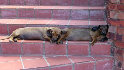 IG 오피쓰 광명오피 광명건마 광명휴게텔 광명키스방 광명마사지