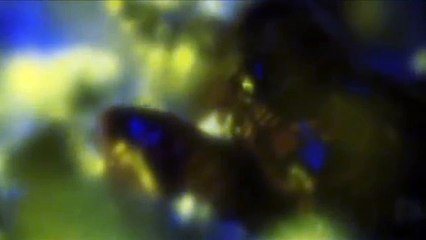 Secrets of a Soul [Trailer] starring Margarethe von Stern ° a movie by Carsten Frank