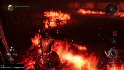 Nioh bug