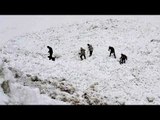 Siachen avalanche : 10 army soldiers missing, search operation on