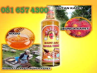 0816574300 (Indosat) Jual Madu Asli Solo