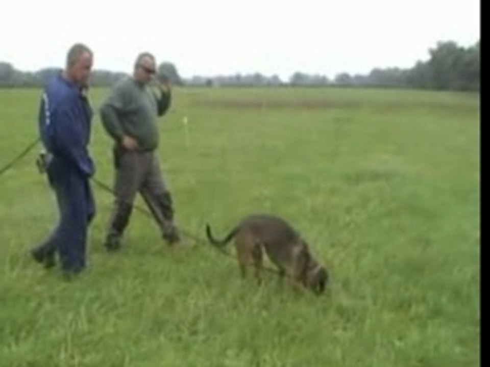 Elwood Fährte Sept-07