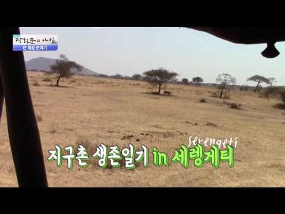 악어에게 물린 임팔라! 탈출을 성공하다? [광화문의 아침] 352회 20161107