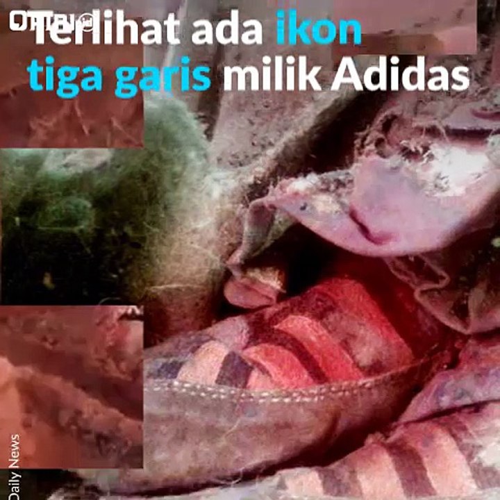 Mumi adidas