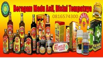 0816574300 agen madu penyubur kandungan