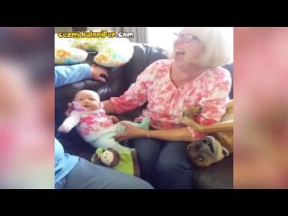 İlgi Manyağı Köpeğin Bebekten Rol Çalması