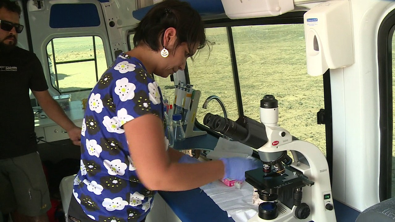 Leben in der chilenischen Wüste - wie auf dem Mars?