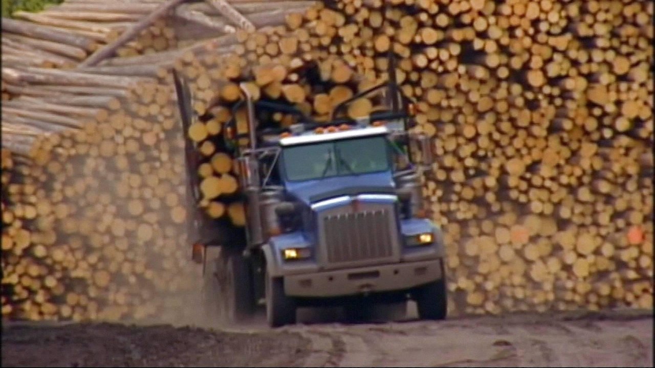 US slaps new tariffs on Canadian lumber