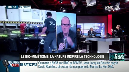 La chronique d'Anthony Morel : Le biomimétisme: la nature inspire la technologie - 26/04