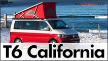 Volkswagen VW T6 California Reise auf die Lofoten im Camper | 2017 | Deutsch