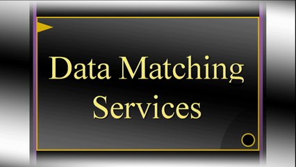 Data matching Service – B2B Leo