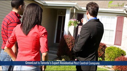 Expert Residential Pest Control Company, Toronto - Greenleafpestcontrol.com