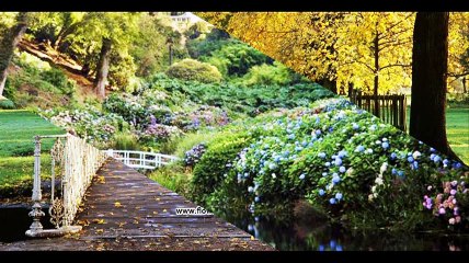 10 Best Gardens For Spring Flowers In United Kingdom