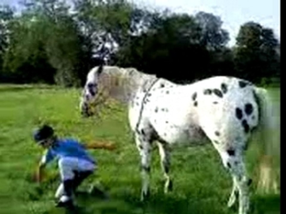 Chute de loops