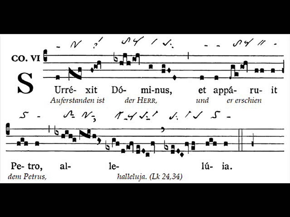 Communio Surrexit Dominus, Dominica III Paschae (3 TP)