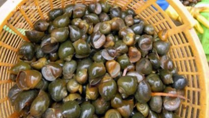 VnExpress | Kinh doanh | Nữ 'tỷ phú cua đinh' ở miền Tây