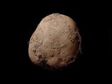 Potato photograph sold for Rs. 6.76 crores