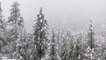 Hautes-Alpes : retour de la neige ce matin dans le Queyras