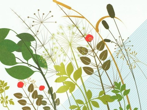 J'ai grandi ici - bruité par les élèves de maternelle de St Chéron