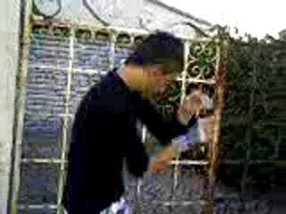 moi project de la spider-teck