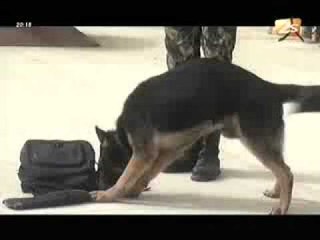 25 ème semaine de lutte contre la droque - Jt Français - 20 Juin 2012