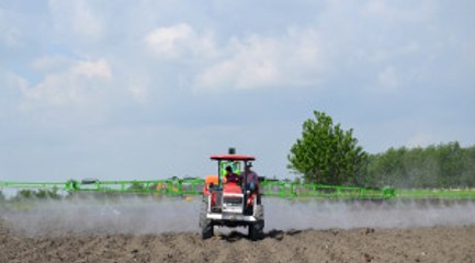 Türkiye'nin En Büyük Tarım Cezaevinde Ilk Başaklar Boy Verdi