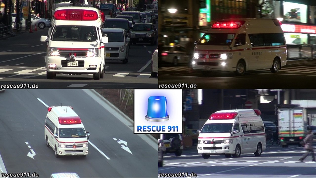 Ambulance Tokyo Fire Department (collection)