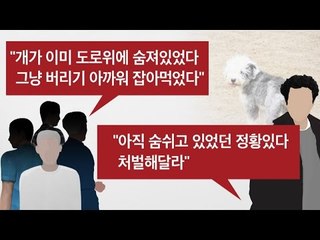 이웃 반려견을 먹은 기막힌 사건! [광화문의 아침] 348회 20161101