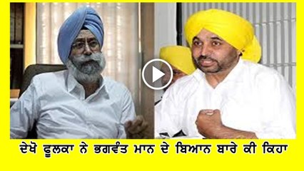 hs phoolka on bhagwant mann