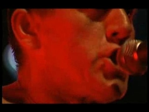 Manu Chao - La Vida Tombola live @ tempo Latino_alternate