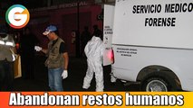 Abandonan restos humanos en diferentes puntos en Morelos