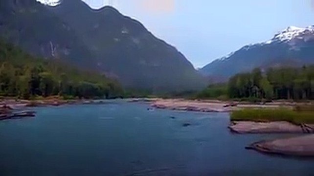 Pica-Pau - O filme (trailer) 2017 WOODY WOODPECKER